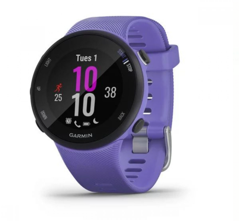 Garmin Умные часы Forerunner 45s