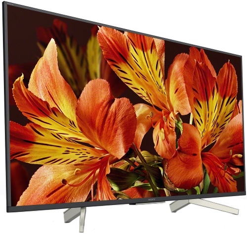 Sony KD-65XF8596BR2