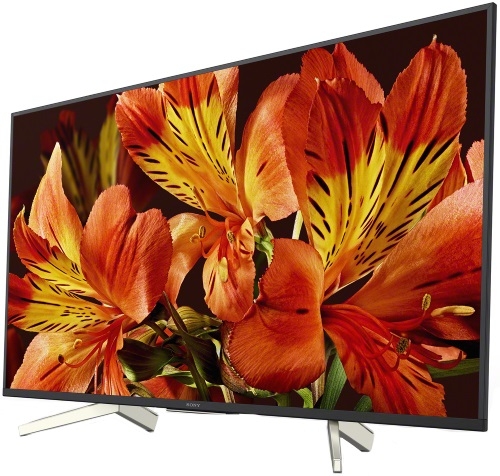 Sony KD-65XF8596BR2