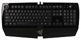 Razer Arctosa