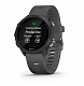 Garmin Умные часы Forerunner 245