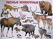 Линг-бук Плакат "Лесные животные"