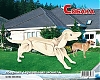 Мир деревянной игрушки Сборная модель "Собака"