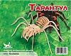 Мир деревянной игрушки Сборная модель "Тарантул"