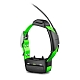 Garmin GPS-Ошейник TT15 Rus