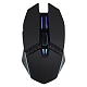 TFN Saibot MX-12