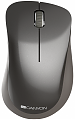 Canyon CNS-CMSW911