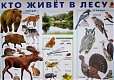 Линг-бук Плакат "Кто живет в лесу?"