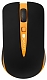 Canyon CNS-CMSW6 USB беспроводная